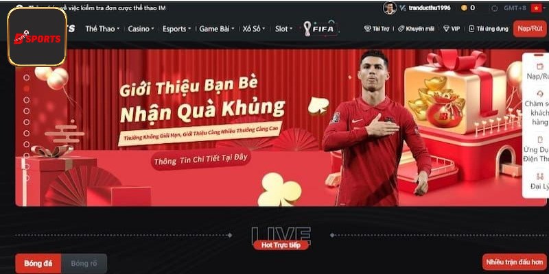 Nội dung hoạt động mới nhất