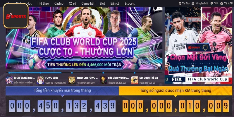 Tổng quan thông tin giới thiệu Bsport